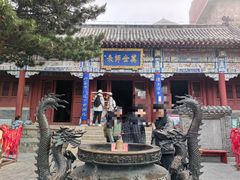 -万达广场(泰安泰山店)