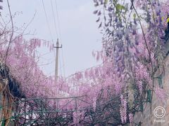 -老门东历史文化街区