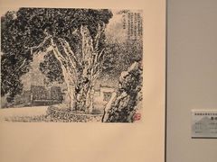 -江苏省美术馆(长江路新馆)