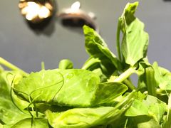 -秋语木桶鱼.酸菜鱼(开发区火车站店)