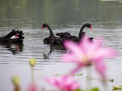 -江南大学(蠡湖校区)