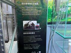 -ADA自然水景世界