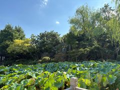 -杭州西子湖四季酒店·金沙厅