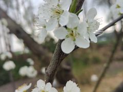 -中国天府农业博览园