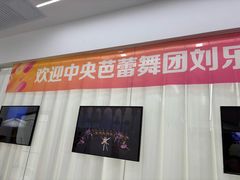 -中央芭蕾舞团·中芭艺蕾(酒仙桥明星校区)