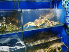 -蚝专家(北滘店)
