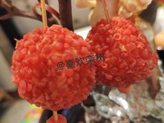 -奔跑吧陕菜·盛世长安(民乐园万达店)