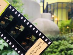 -三鹰之森吉卜力美术馆