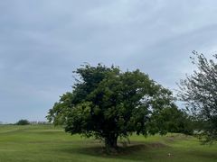 -盘龙城国家考古遗址公园