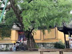 -无锡惠山寺