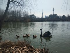 -南通濠河风景名胜区