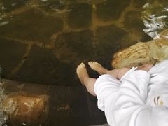 -西安国际创新人才交流中心•药浴温泉