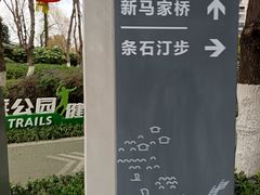 -皇粮浜湿地公园