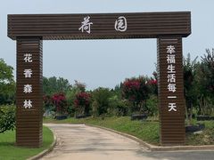 -东平国家森林公园