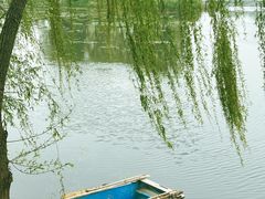 -马家湾湿地公园