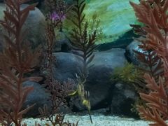 -上海海洋水族馆