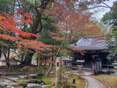 -醍醐寺