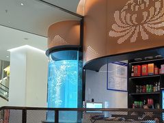 -谭厨中山传家菜.乳鸽.脆鲩鱼(华强北中航城店)