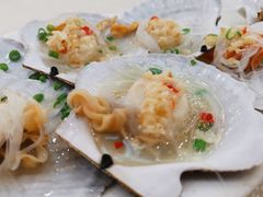 扇贝-新享乐海鲜(翠华路店)