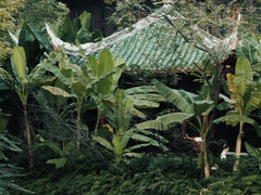 -棠湖公园
