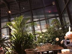 景观位-大树餐厅(红旗街万达店)