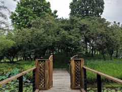 -映月湖公园