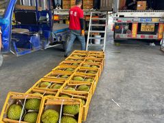 -东方鼎信农副产品交易中心