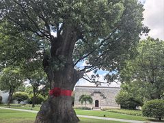 -养云安缦吧THE BAR