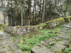 -唐崖土司城遗址