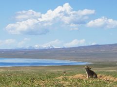 -青海湖国家重点风景名胜区