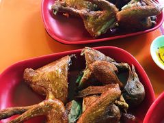 -光明刘冰乳鸽店(光明法政北路店)