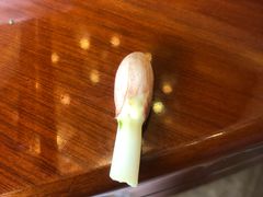 花生芽-多蒙德养生火锅