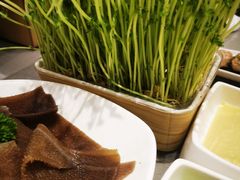 -海底捞火锅(8号仓店)