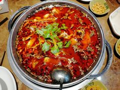 鱼火锅-小门坎三合鱼(总店)