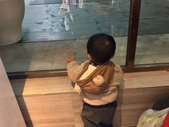 -上海嘉定喜来登酒店