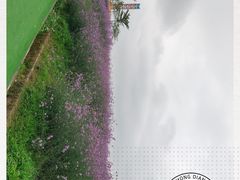 -光明小镇欢乐田园