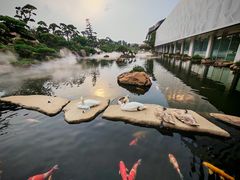 -罗红摄影艺术馆