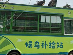 -鄱阳湖国家湿地公园