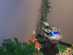 android_upload_pic-荷源养生坊(博山东路店)