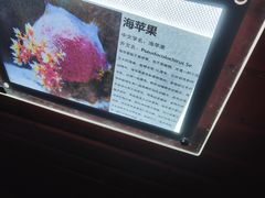 -太平洋海底世界