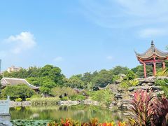 -顺峰山公园