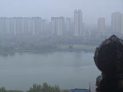 -鲁南仔·滕州炒鸡(经三路店)