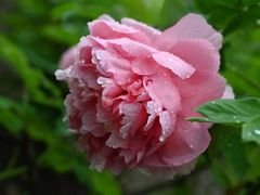 -江南大学(蠡湖校区)