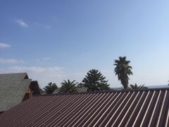 -朝安泰迪熊博物馆