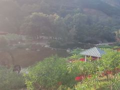 -广州市石门国家森林公园