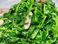 -华铝饭店