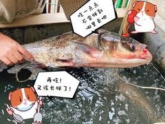 -洪福饭店·十八年老店