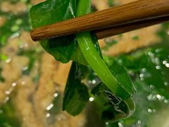 豌豆尖-李四哥太安鱼食府