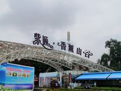-紫颐香薰山谷景区