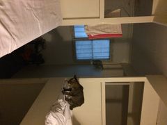 夫子庙国际青年旅社-南京夫子庙国际青年旅舍(平江府路店)